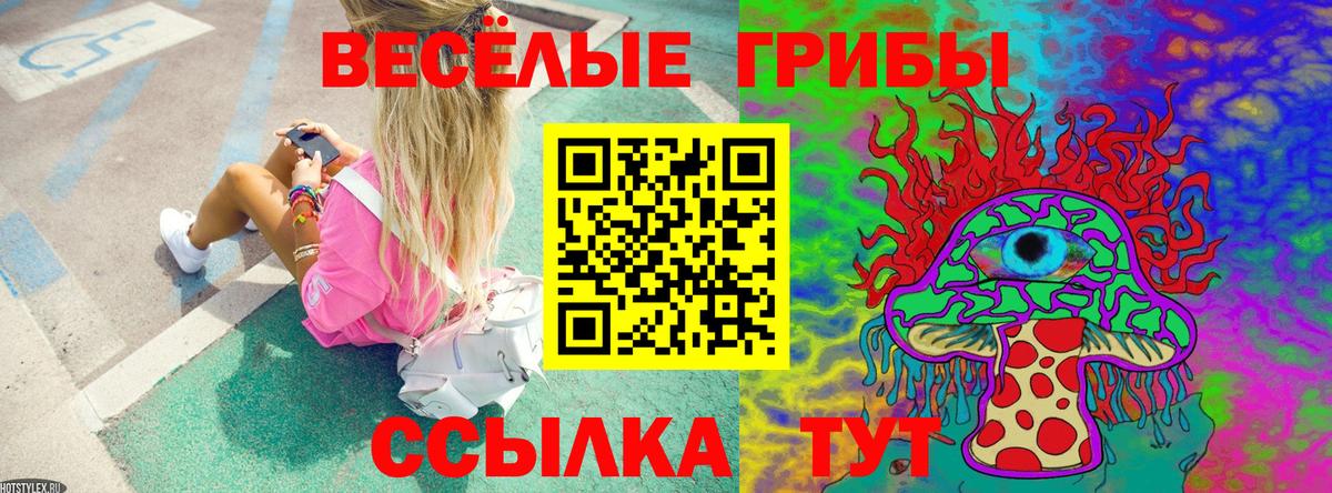 Псилоцибиновые грибы мухоморы Каспийск